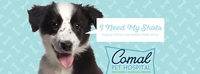 Comal Pet Hospital & Resort Picture 1