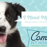 Comal Pet Hospital & Resort