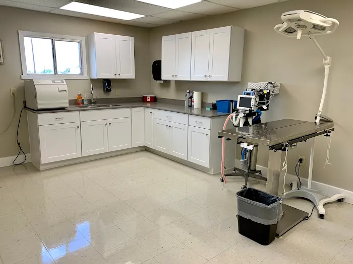 Southern Winds Veterinary Services Picture 2
