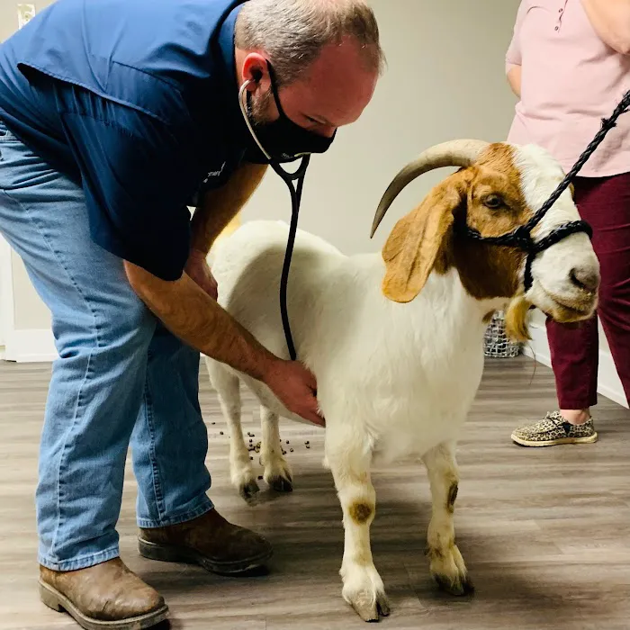 Southern Winds Veterinary Services Picture 8