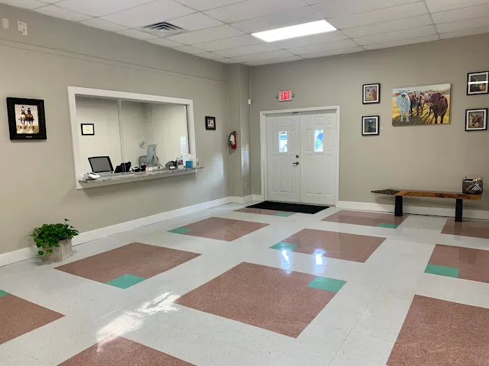 Southern Winds Veterinary Services Picture 7