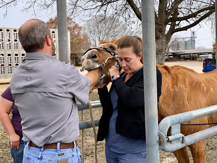 Southern Winds Veterinary Services Picture 10