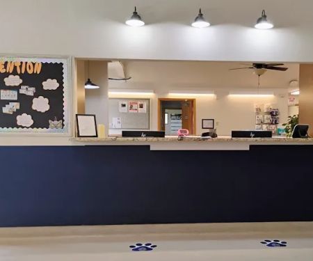 VCA Seguin Animal Hospital