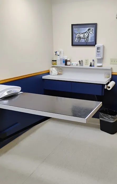 VCA Seguin Animal Hospital Picture 6