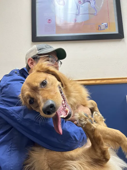 VCA Seguin Animal Hospital Picture 8