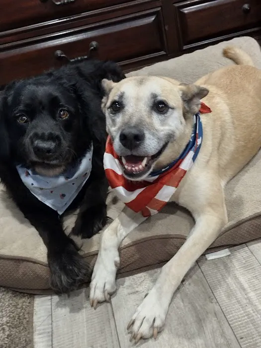Morrison Veterinary Clinic Picture 3