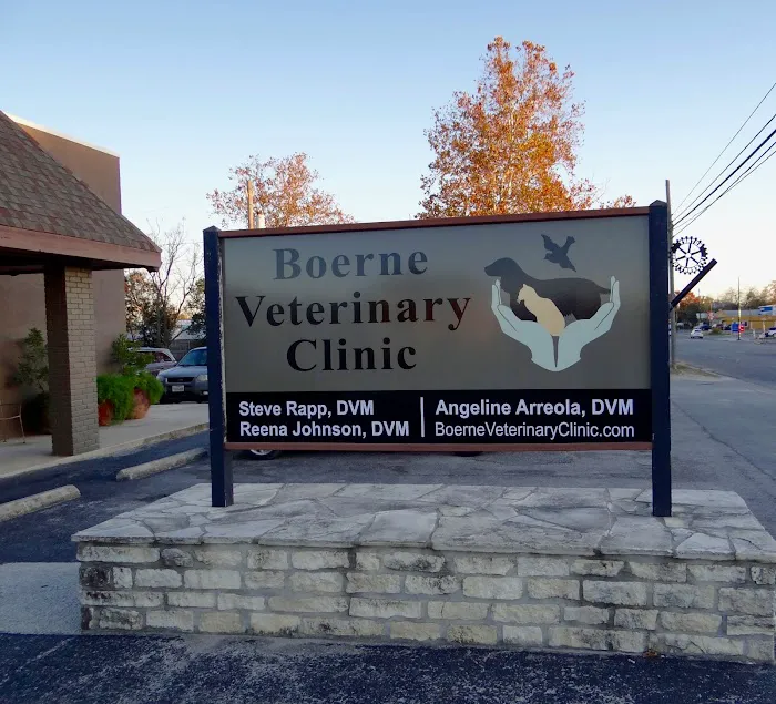 Boerne Veterinary Clinic Picture 4