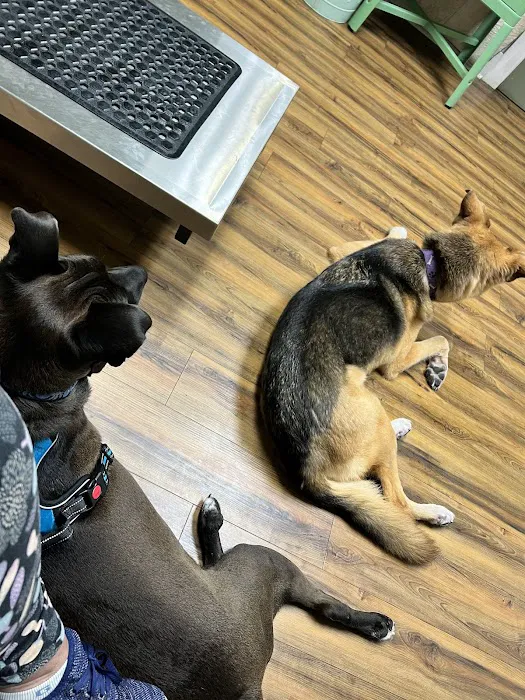 Boerne Veterinary Clinic Picture 5