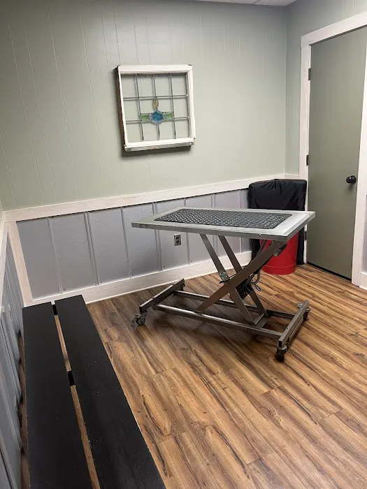 Boerne Veterinary Clinic Picture 10