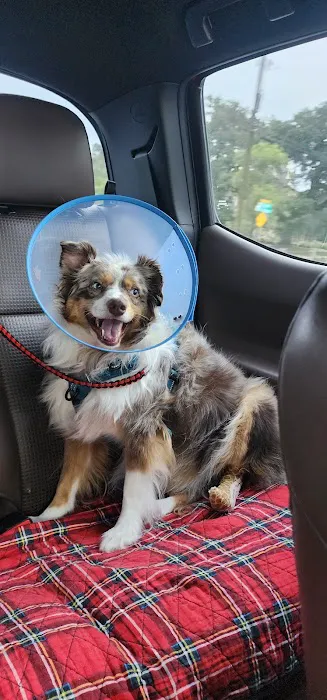 Boerne Veterinary Clinic Picture 7