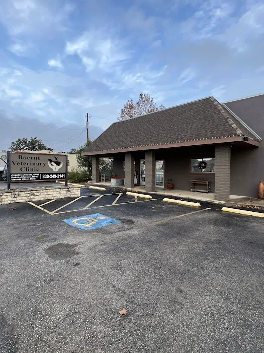 Boerne Veterinary Clinic Picture 8