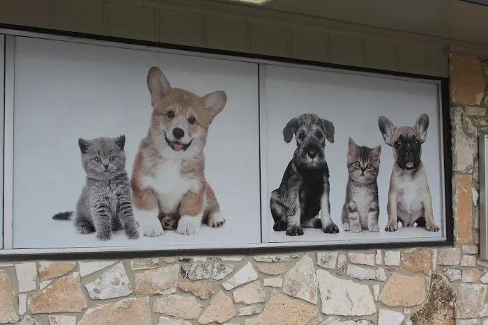 Hill Country Animal League (Low Cost Spay and Neuter Clinic) Picture 10