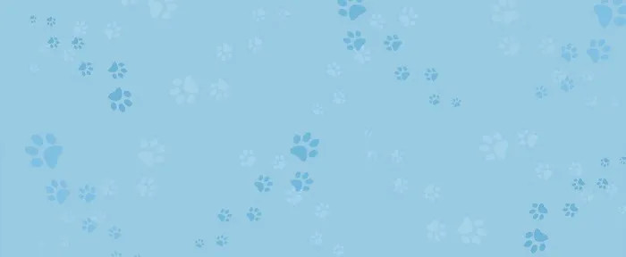 Veterinary Internal Medicine & Diagnostic Center Picture 1