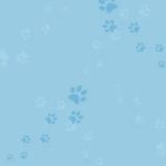 Veterinary Internal Medicine & Diagnostic Center