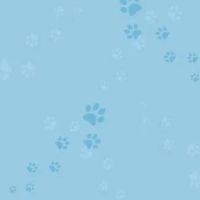 Veterinary Internal Medicine & Diagnostic Center ico