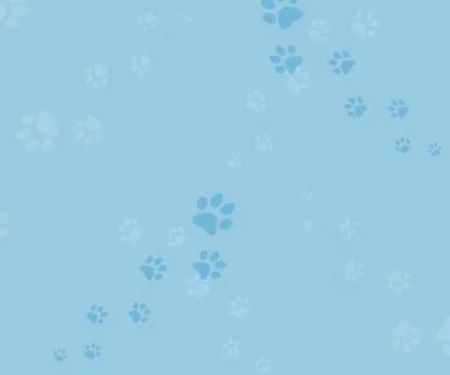 Veterinary Internal Medicine & Diagnostic Center