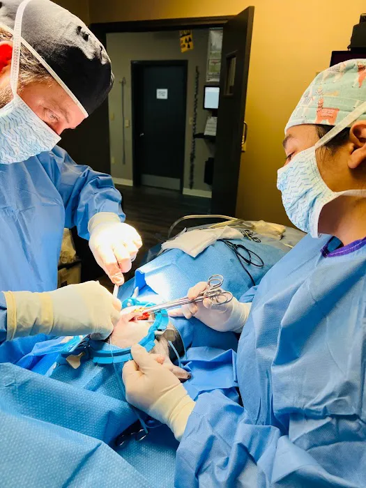 Hill Country Veterinary Surgical Specialty, PLLC Picture 9