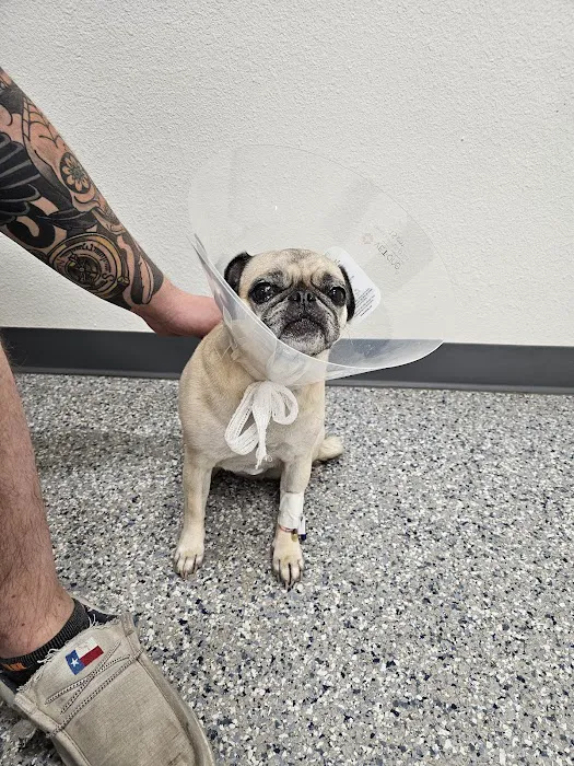 Hill Country Animal Emergency Hospital Picture 8