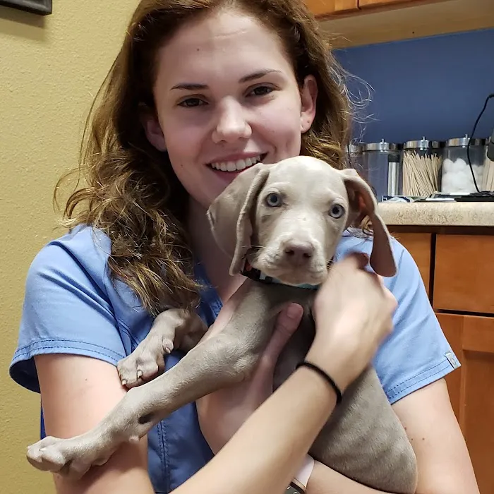 Bergheim Pet Hospital & Clinic Picture 4
