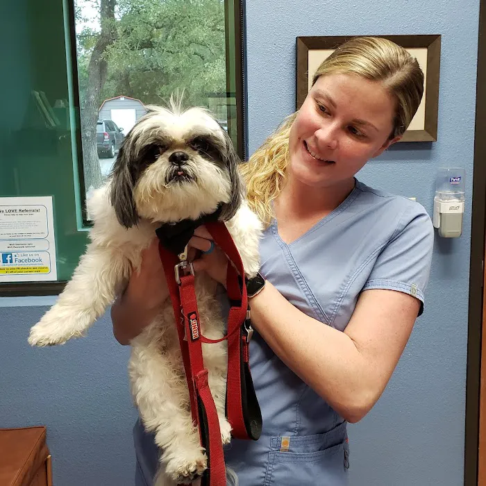 Bergheim Pet Hospital & Clinic Picture 9