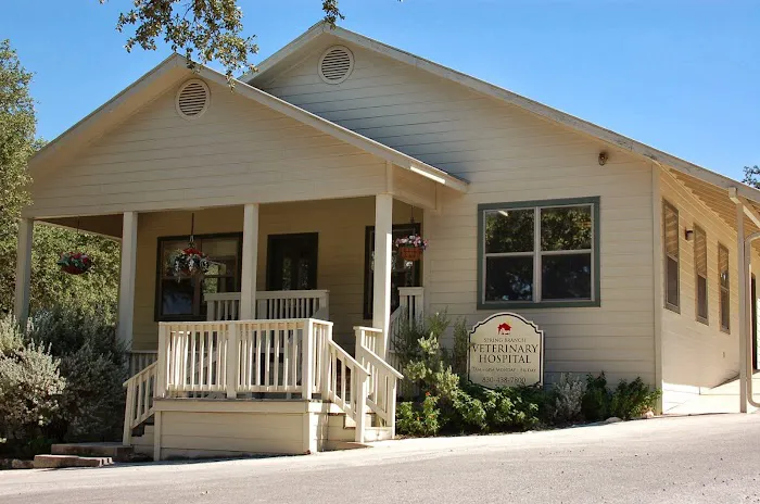 Spring Branch Veterinary Hospital Picture 6