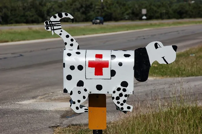 Spring Branch Veterinary Hospital Picture 8