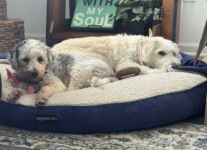 Westfield Veterinary Care Picture 5
