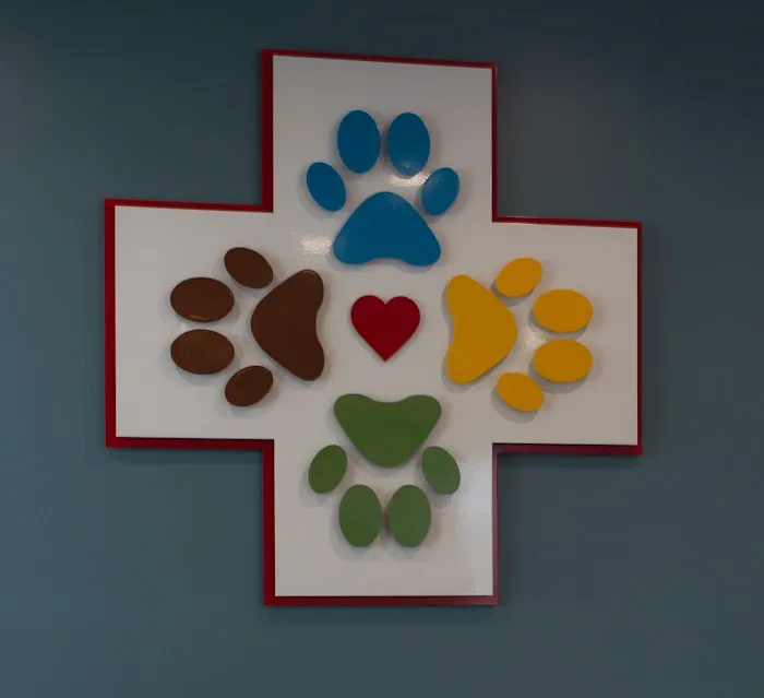 The Integrative Veterinary Clinic Picture 10