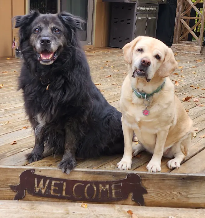 The Integrative Veterinary Clinic Picture 9