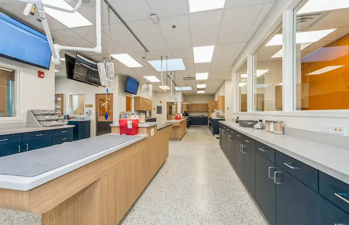 Coyne Veterinary Center Westfield Picture 4