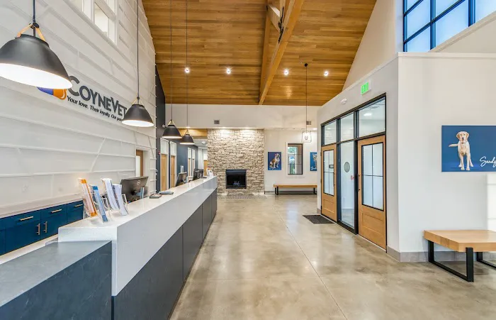 Coyne Veterinary Center Westfield Picture 3