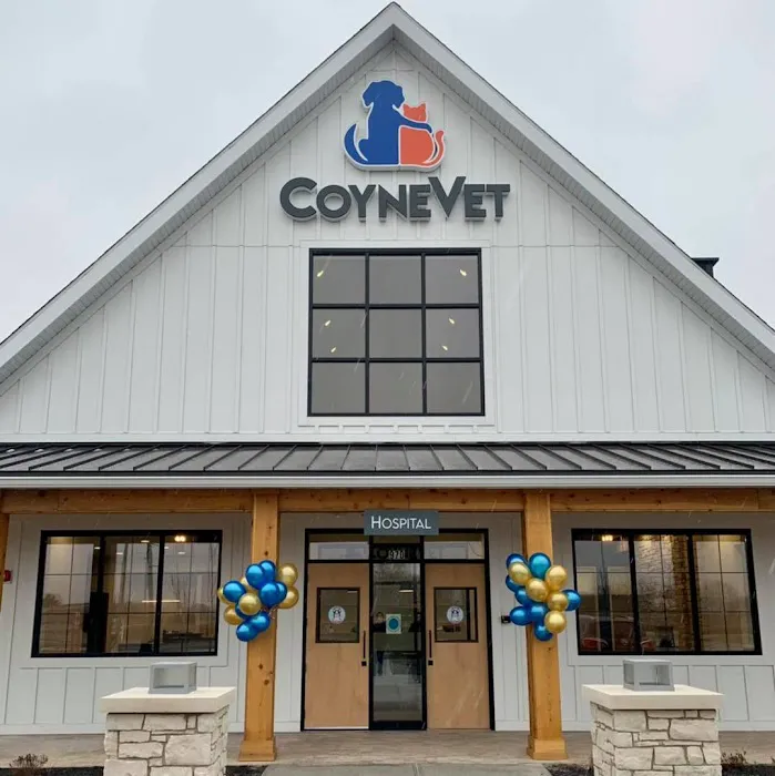 Coyne Veterinary Center Westfield Picture 5