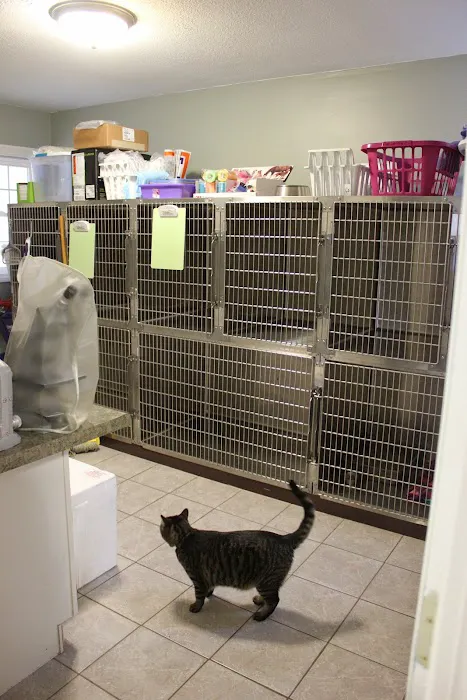 Heal Pet Care Picture 10