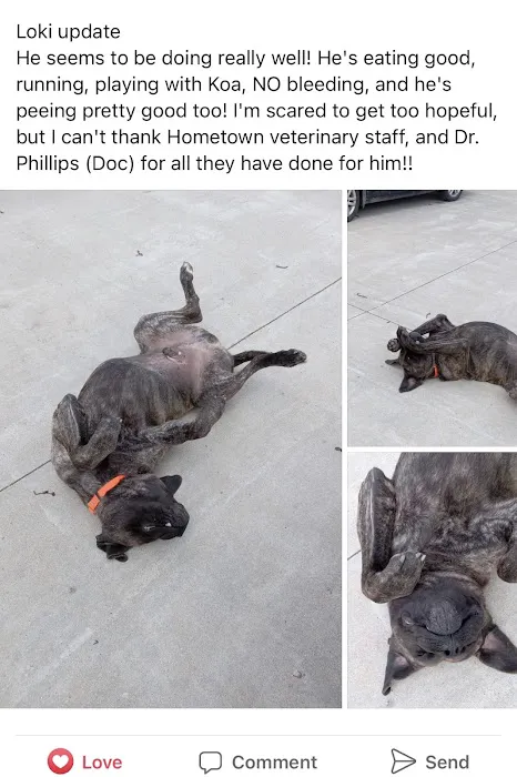 Hometown Veterinary Picture 6