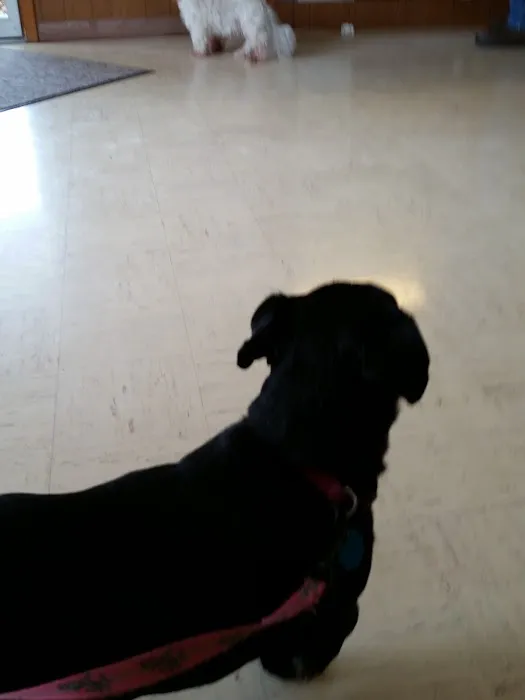 Odon Veterinary Clinic Inc Picture 6