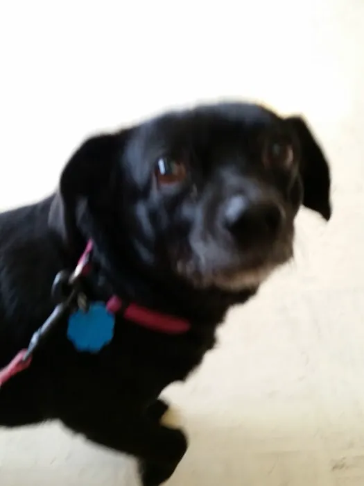 Odon Veterinary Clinic Inc Picture 2