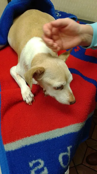 Heritage Animal Hospital South Picture 5