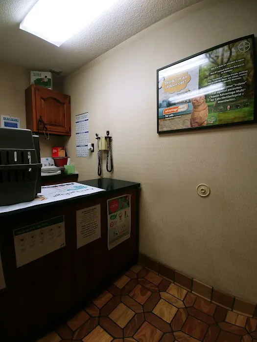 Heritage Animal Hospital South Picture 6