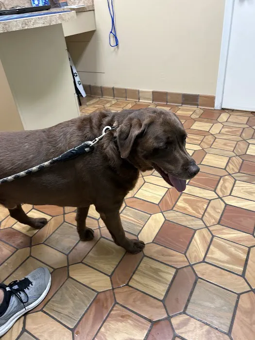 Heritage Animal Hospital South Picture 1