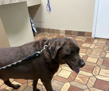 Heritage Animal Hospital South
