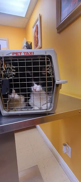 St Francis Pet Hospital Picture 2
