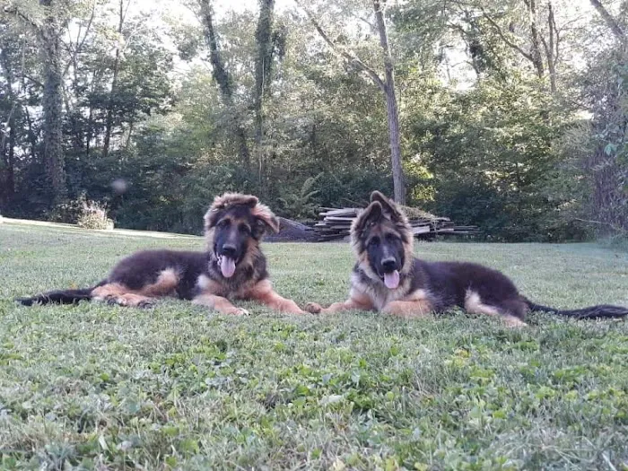 Jackson County Animal Clinic Picture 2