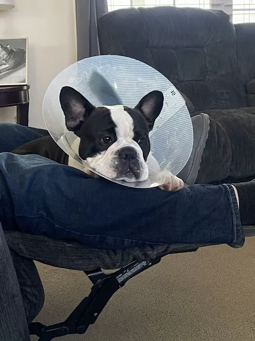 Jackson County Animal Clinic Picture 8