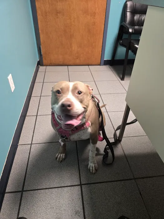 Jackson County Animal Clinic Picture 10