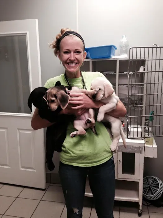 Seymour Animal Hospital Picture 7
