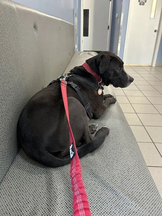 Seymour Animal Hospital Picture 1