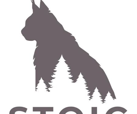 Stoic Maine Coons