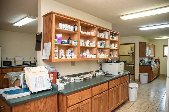 Elwood Animal Hospital Picture 8
