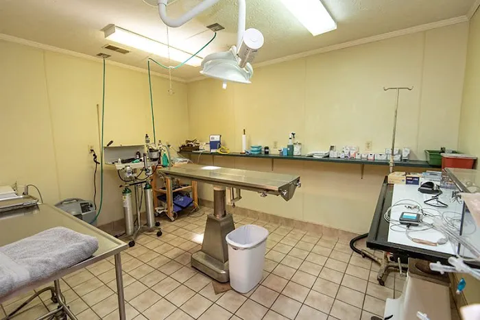Elwood Animal Hospital Picture 4
