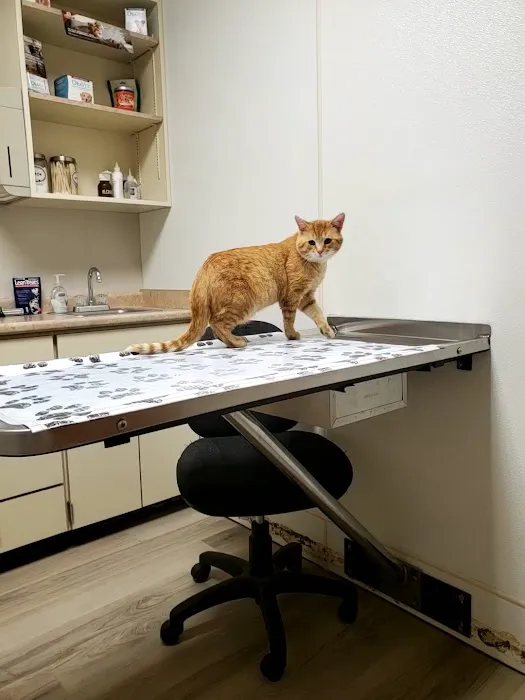 West Central Veterinary Services Picture 5